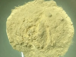 Golden Seal Root 20:1 Extract Powder-100gm-AUSSIE HERBALIST SELLER - Picture 1 of 1