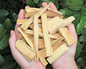 Palo Santo Holz AUSVERKAUF Teile & Stücke: Wählen Sie Unzen oder Pfund GROSSPACKUNG GROSSHANDEL MENGEN - Bild 1 von 9