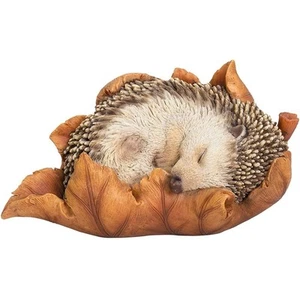 Vivid Arts Baby Igel im Blatt Garten und Haus Figur XRL-HH09-F - Bild 1 von 1