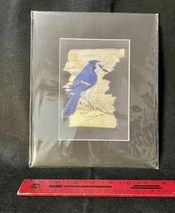 Blue Jay Artwork Artist-Causten 8X10 - Picture 1 of 4