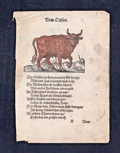 Thierbuch Jost Amman handkolorierter Holzschnitt - einblättriges Vom Ochsen um 1579-1617 - Bild 1 von 2