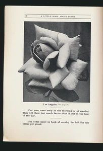 A Little Book about Roses Seed Catalogue 1921 George H. Peterson Inc. - Picture 1 of 2