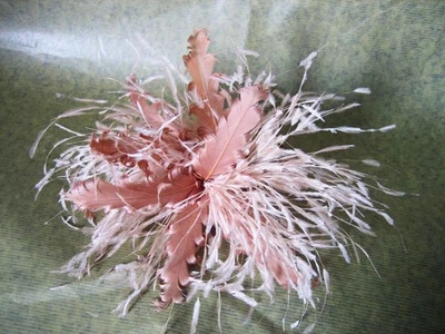 80 Colours Goose Ostrich Feather Twisted Mount Millinery Fascinator Ascot - Image 1 of 4