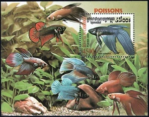 Cambogia - 2000 - Fauna - BF nuovo (MNH) - Picture 1 of 1