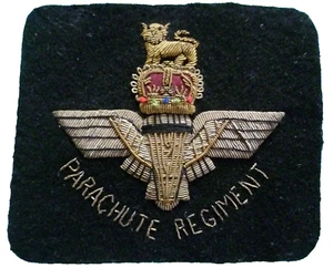 Parachute Regiment Cloth Badge Bullion Wire Unusual Parachute Regiment Badge - Picture 1 of 8