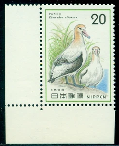 1975 Birds,Short-tailed Albatross,Nature protection,Japan, M. 1237, MNH - Picture 1 of 1