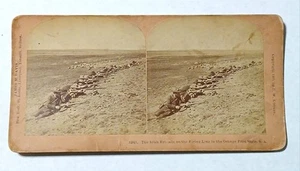 Irish Brigade Orange Free State Boer War SA Stereoview 1900 James Davis Photo - Bild 1 von 10