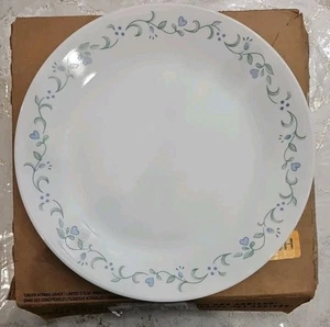 Juego de 6 platos de cena Corelle by Corning Country Cottage 10 1/4 - Imagen 1 de 1
