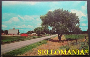 POSTCARD A COLORFUL CATTLE RANCH ON A MODERN HIGHWAY CC05081 USA - Picture 1 of 1