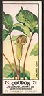 1920s COWANS Chocolate Card V20 FLOWERS Cowan JACK IN THE PULP w. Coupon Card #7