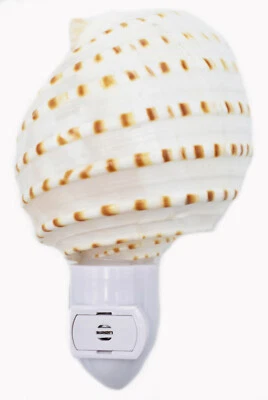 Luz nocturna concha marina real Tonna Tessalata concha decorativa decoración de playa sensor de 5" Foto 1 de 4