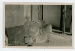 Fotografía De Colección 1920 China Emperador Ming Tsi Tsu Templo Tortuga de Piedra Foto - Imagen 1 de 3