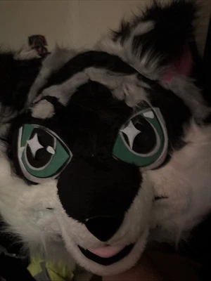 Fantasia Fursuit Muito Pequena Compatível Apenas Para 160cm-170cm (Leia a descrição) - Imagem 1 de 3