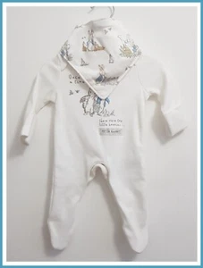 Baby Unisex Peter Rabbit Character Sleepsuit & Bib 2 Piece Set Tiny Baby NEW - Picture 1 of 7