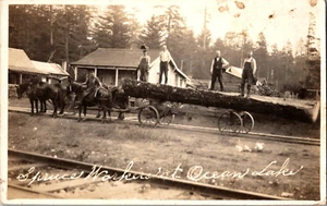 Cartolina Logging Abete Lavoratori Lago Oceano RPPC Non Spedita - Foto 1 di 2