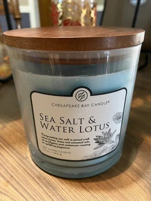 Chesapeake Bay 3-Wick Soy Blend Candle - SEA SALT & DRIFTWOOD - 14 oz - NEW - Image 1 of 3