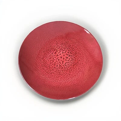 "Juego de 8 platos de cena contemporáneos de melamina rojos envejecidos de 9""" Foto 1 de 4