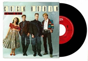 COCK ROBIN Vinyle 45T 7" THE PROMISE YOU MADE -HAVE YOU ANY SYMPATHY ? -CBS 6764 - Picture 1 of 2