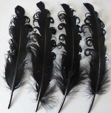 Wholesale 10-100pcs Natural Ducks and Geese Feathers 15-20cm / 6-8inch
