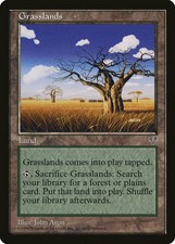 Grasslands Mirage HEAVILY PLD Land Uncommon MAGIC THE GATHERING CARD ABUGames