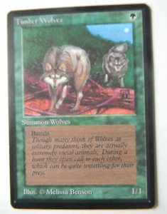 TIMBER WOLVES : MTG : BETA : 1993  : NEAR : SEE PHOTO'S  - Bild 1 von 10