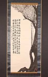dr2899 BIG Hanging Scroll "Plum Tree" by Maeda Mokuho - Picture 1 of 9