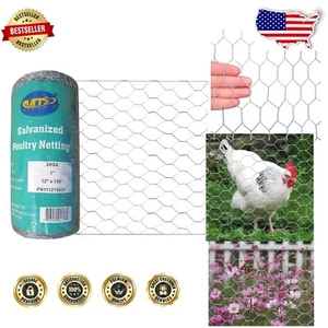 20GA Galvanized Chicken Wire Netting 12'' x 150' - Durable Garden Fence Solution - Picture 1 of 7