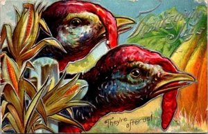 Vintage Thanksgiving Postcard-Turkeys Hiding They're After Us PM 1910 - Picture 1 of 2