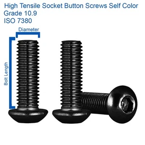 M3 M4 M5 M6 M8 M10 M12 BUTTON HEAD ALLEN BOLTS SOCKET SCREWS HIGH TENSILE 30-PCS - Picture 1 of 1