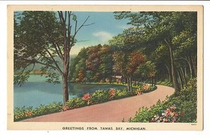 Vintage Postcard Tawas Bay MI Michigan Greetings Linen  - Picture 1 of 1