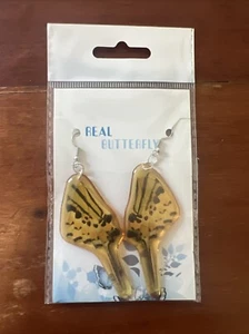 Real Handmade Butterfly Wing Earrings-Resin Coated Drop/Dangle Butterfly Jewelry - Picture 1 of 7