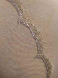 4.88 + 1 yards  METALLIC SILVER & GOLD SCALLOPED BORDER OF CHANTILLY FRENCH LACE - Picture 1 of 5