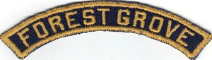 CUB SCOUT FOREST GROVE BGS BLUE AND GOLD COMMUNITY STRIP  - Picture 1 of 2