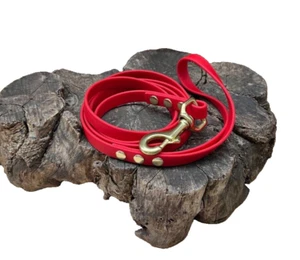 Biothane Dog Leash - 1/2" width waterproof, stink proof - Red/Brass 5' USA Made  - Picture 1 of 3