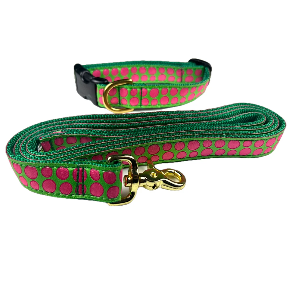 Combo de correa para collar de perro Up Country Pop Art. Correa de 6 pies cuello MED 12"-18" NUEVO Foto 1 de 1
