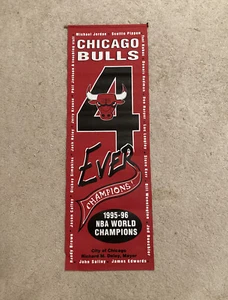 SELTEN Chicago Bulls 1995-96 Weltmeister Mini Straßenschild - Bild 1 von 3