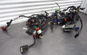 21-23 Husqvarna Vitpilen 401 main wiring harness 28111175000 - Picture 1 of 13
