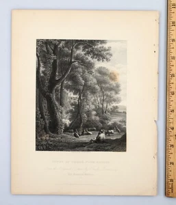 Incisione originale XIX secolo studio degli alberi della natura - Foto 1 di 2