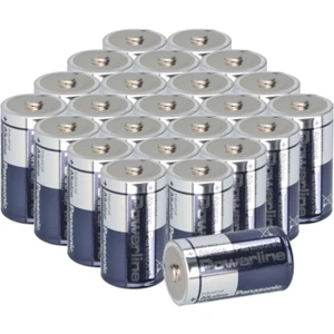 24x Panasonic LR20 Powerline Mono Batteria D Industrial - Foto 1 di 8