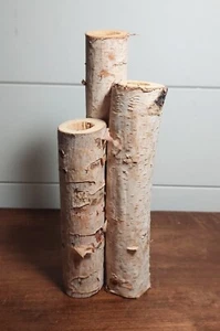 Jarrón de madera de abedul de 3 vástagos con inserciones de tubo de vidrio - Imagen 1 de 8