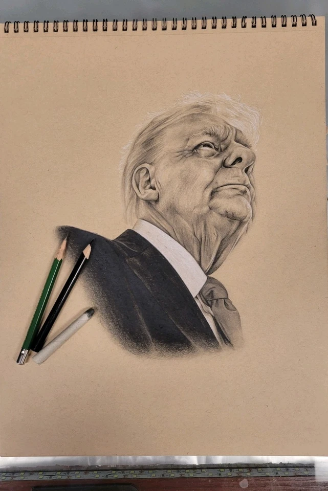 Donald Trump Retrato Original Dibujo a Lápiz 11x14 Redactado TIME Cubierta de Revista Foto 1 de 1