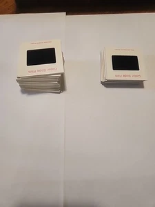 Lote de 35 diapositivas de películas a color 1978 Christmas People Disney World - Imagen 1 de 6