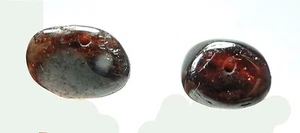  2 ANTIQUE ANCIENT HAND CARVED  GARNET BEAD SRILANKA - Picture 1 of 3