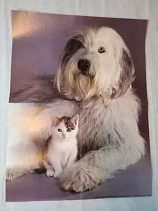 Vintage 70s 1976 Xerox Cute Kitten Kitty Cat Sheepdog Dog Poster Wall Art 16x21 - Picture 1 of 4