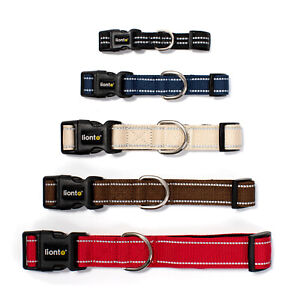 lionto Hundehalsband gepolstert Halsband Nylon reflektierend, Größen & Farben