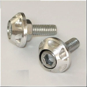 CAR SILVER STAINLESS STEEL LICENSE PLATE SCREWS X 4 PIECES - Picture 1 of 1