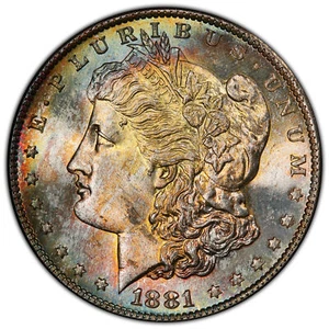 Killer Toned 1881-S Morgan Silver Dollar PCGS UND Detail Scrape (Stock#: 426924) - Picture 1 of 5