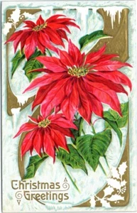 Christmas classic early post card unused unposted Poinsettias - Picture 1 of 2