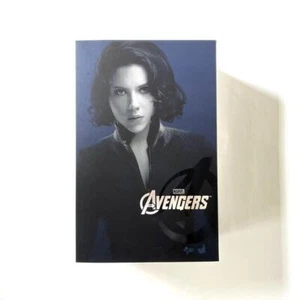 Hot Toys The Avengers Black Widow 1/6 Scale Scarlett Johansson Figure MMS178 JP - Picture 1 of 14