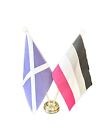 Scotland Saltire And Asexual Gay Pride Lgbtq+ 9"X6" Table Flags On Gold Base